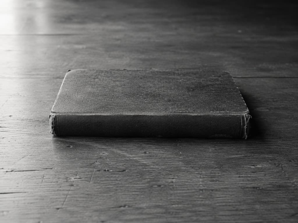 A single closed book resting on the worn floor of an old library.